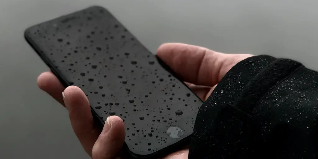 Which iPhone Is Waterproof? The iPhone 8 vs iPhone X, XR, or XS