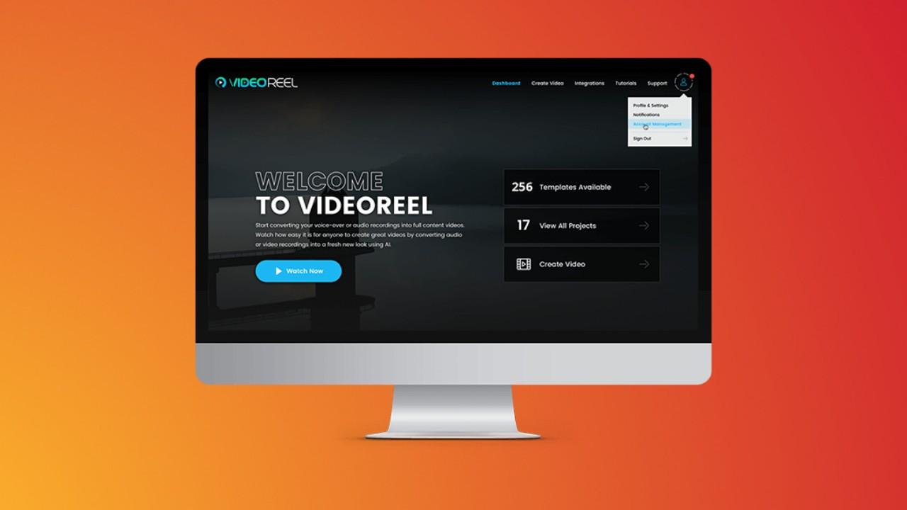 VideoReel Review and Price